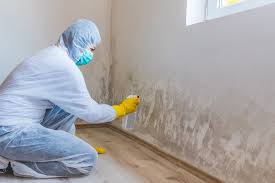  , USA Mold Prevention & Removal Pros